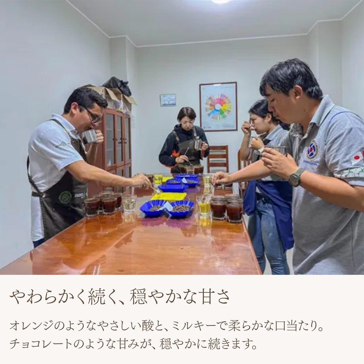 【農薬不使用・無化学肥料】ペルー アルトマヨの森 フェアトレード 中深煎り