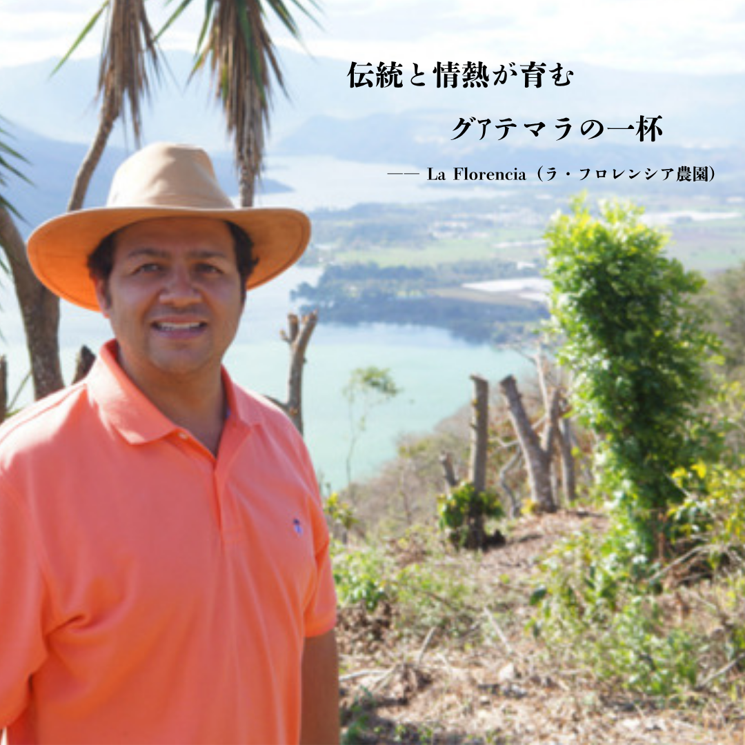 【スペシャリティーコーヒー】100g グアテマラ フロレンシアブルボン 中深煎り