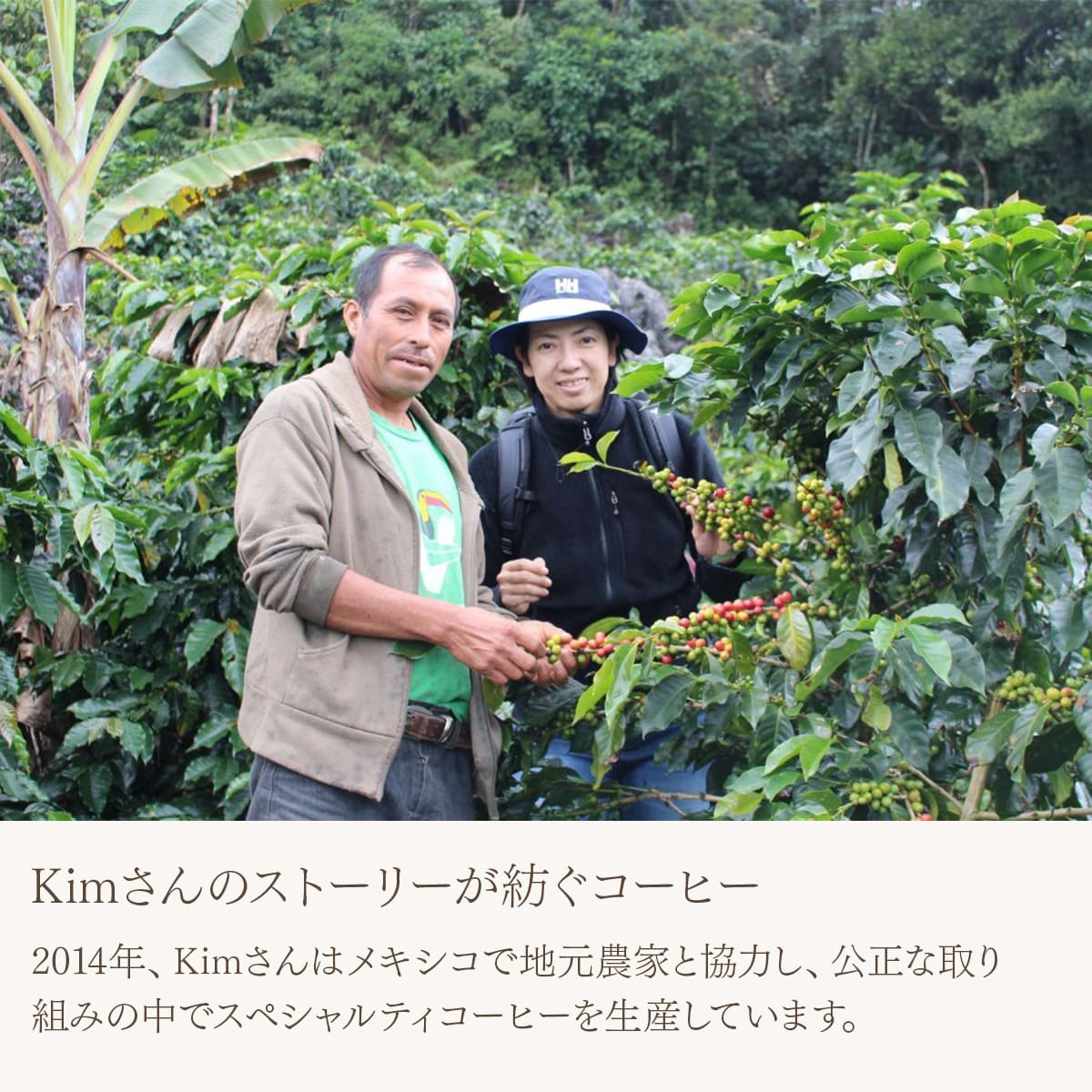 カフェインレス メキシコ フィンカ・ドン・ラファ