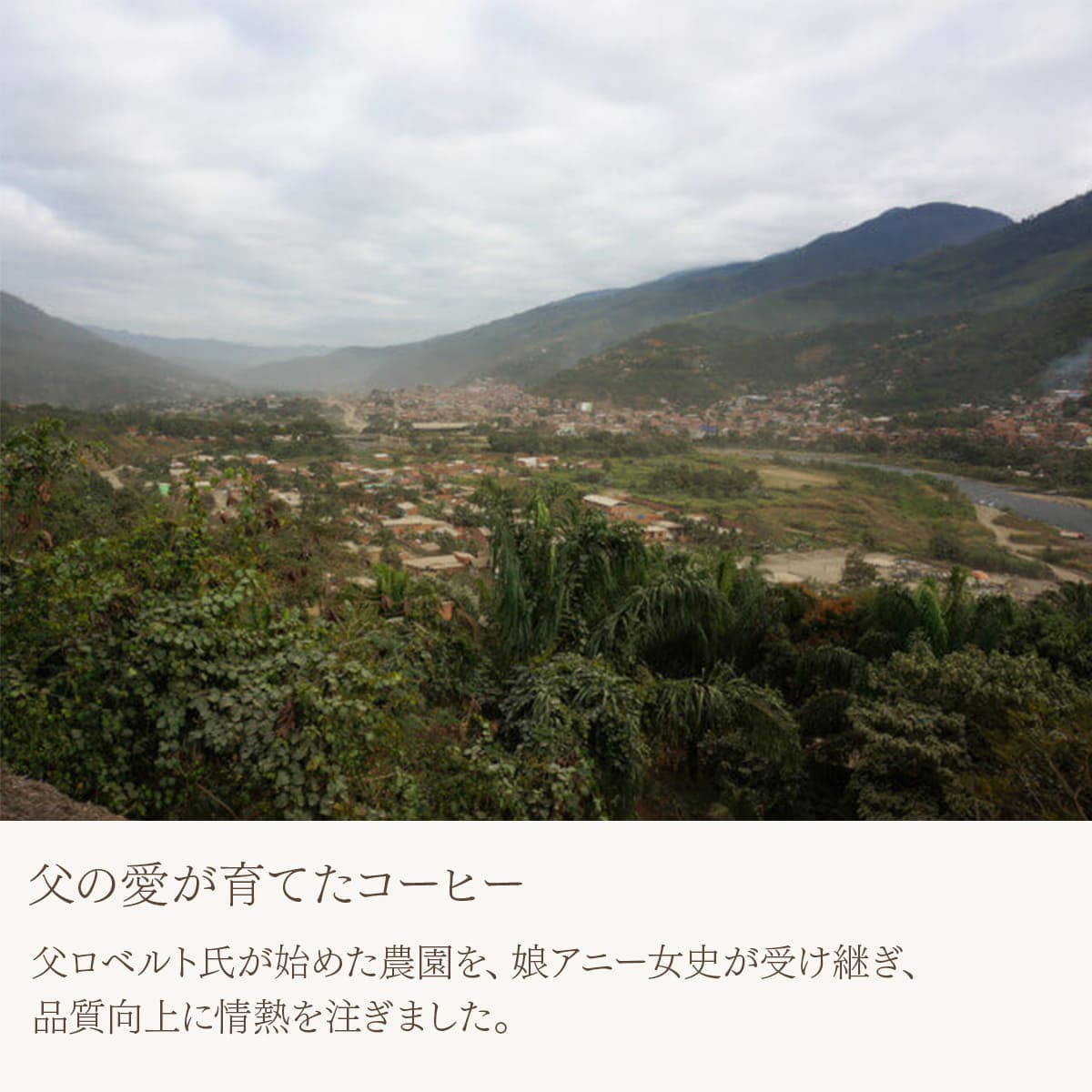 ボリビア カフェ・ジャスミン エドゥアルド・トラ 中深煎り