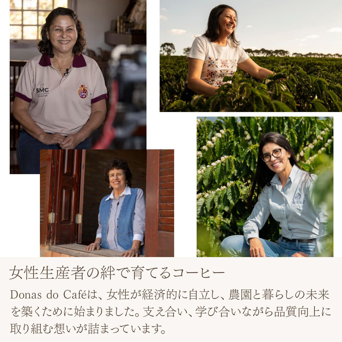 ブラジル ドーナス・ド・カフェ