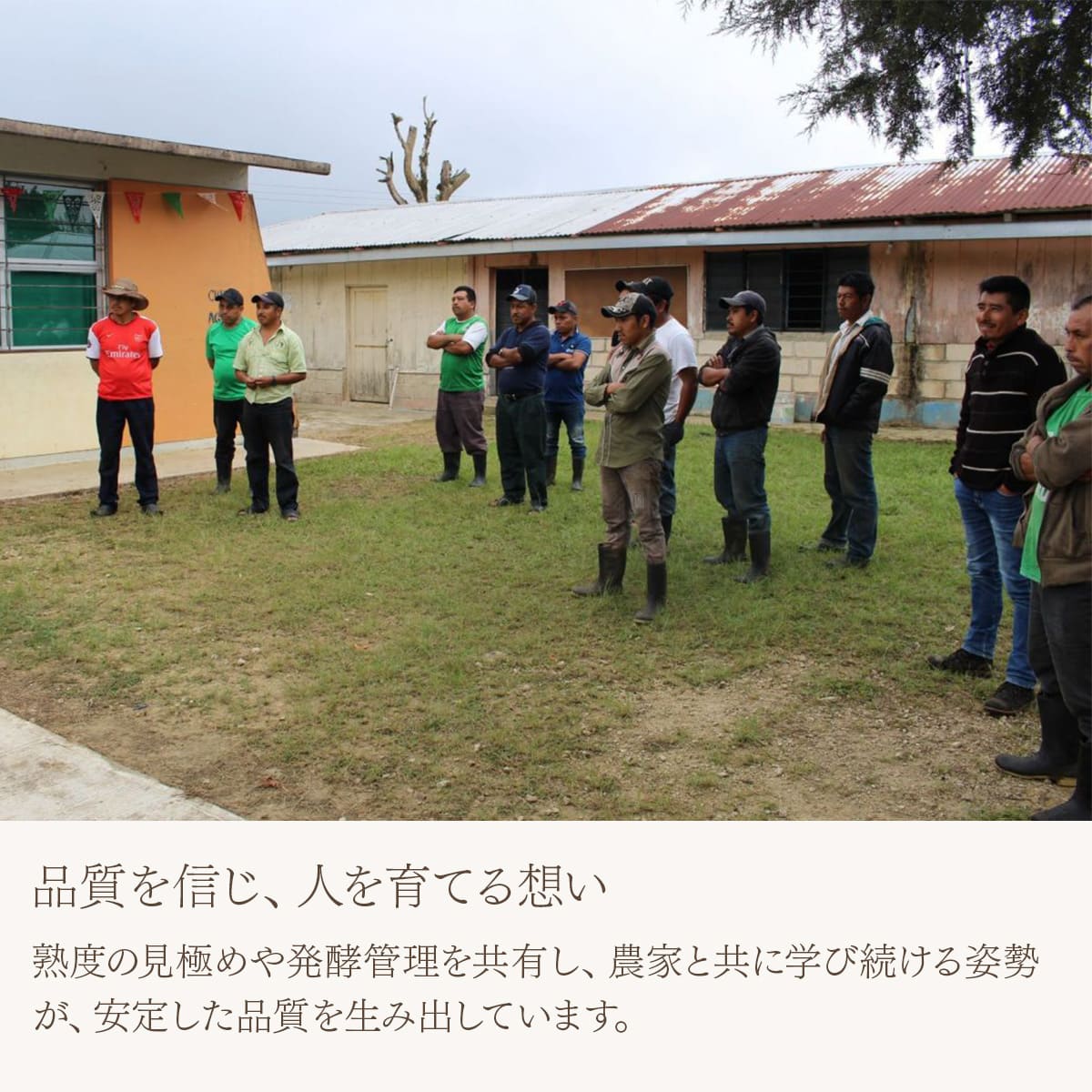 カフェインレス メキシコ フィンカ・ドン・ラファ