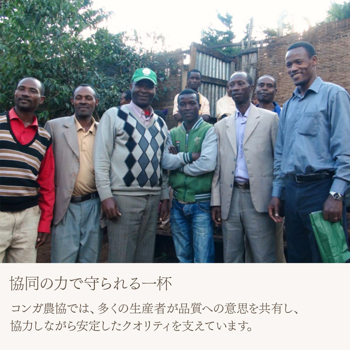 エチオピア イルガチェフェ G2 コンガ農協 フェアトレード