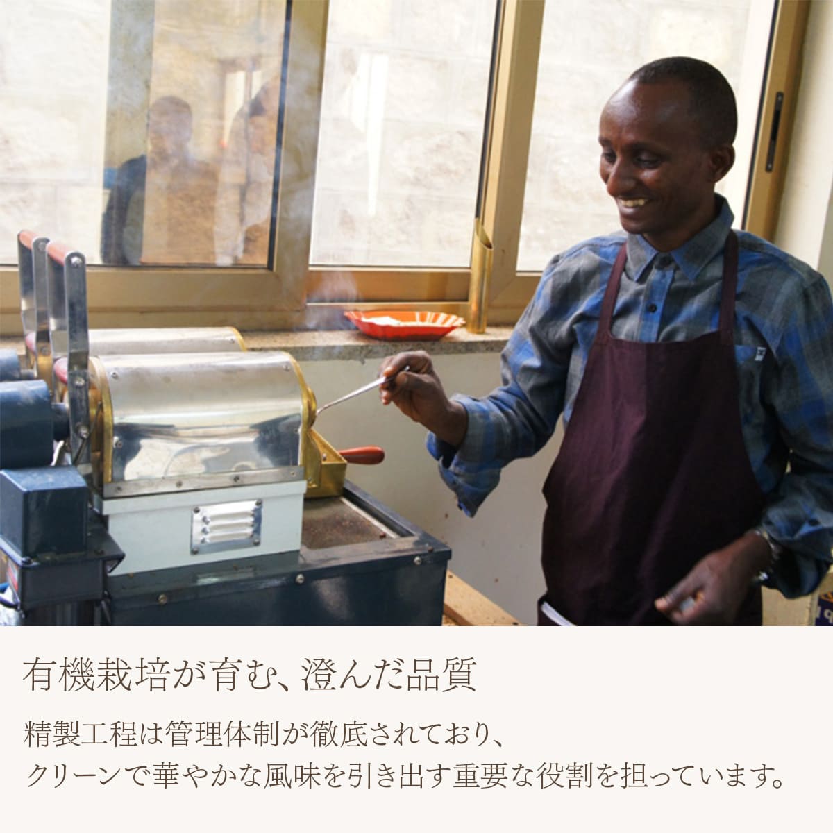 エチオピア イルガチェフェ G2 コンガ農協 フェアトレード