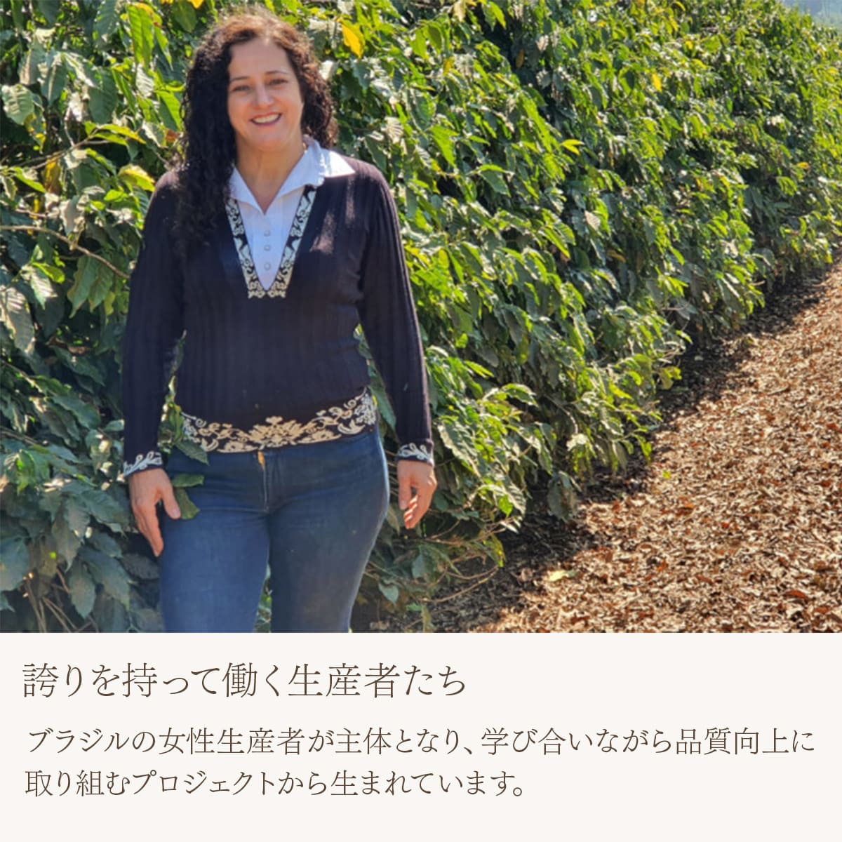 ブラジル ドーナス・ド・カフェ パルプドナチュラル