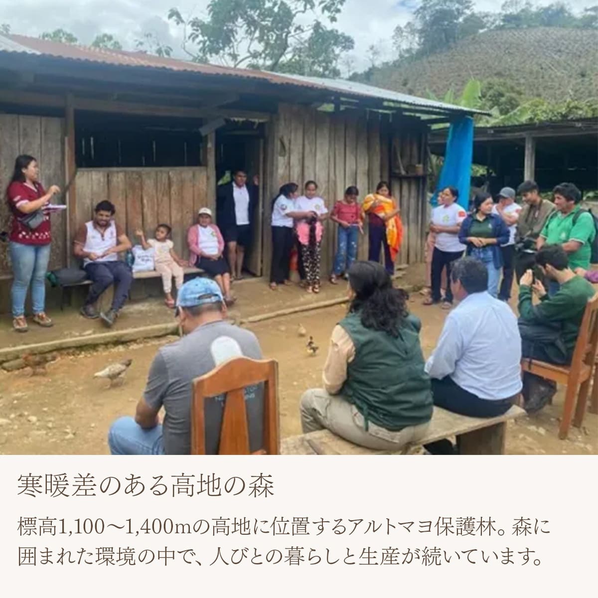 【農薬不使用・無化学肥料】ペルー アルトマヨの森 フェアトレード 中深煎り