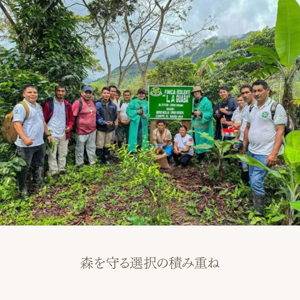 【農薬不使用・無化学肥料】ペルー アルトマヨの森 フェアトレード 中深煎り