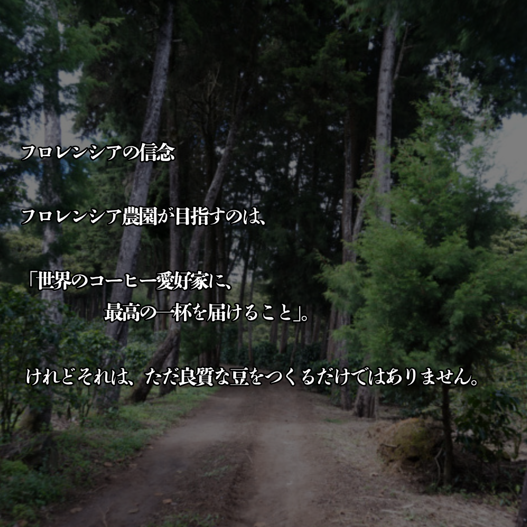 【スペシャリティーコーヒー】100g グアテマラ フロレンシアブルボン 中深煎り