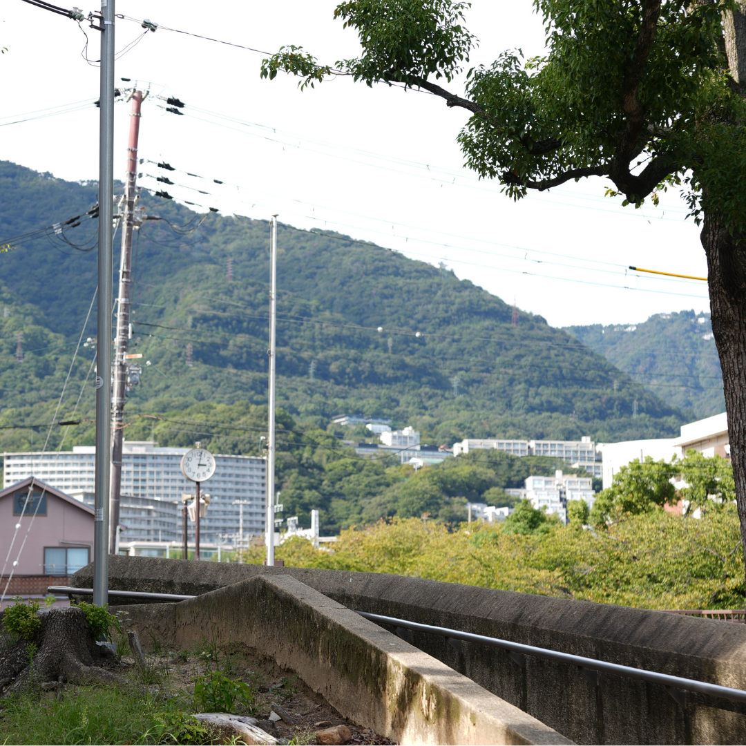 【スペシャリティーコーヒー】100g グアテマラ フロレンシアブルボン 中深煎り
