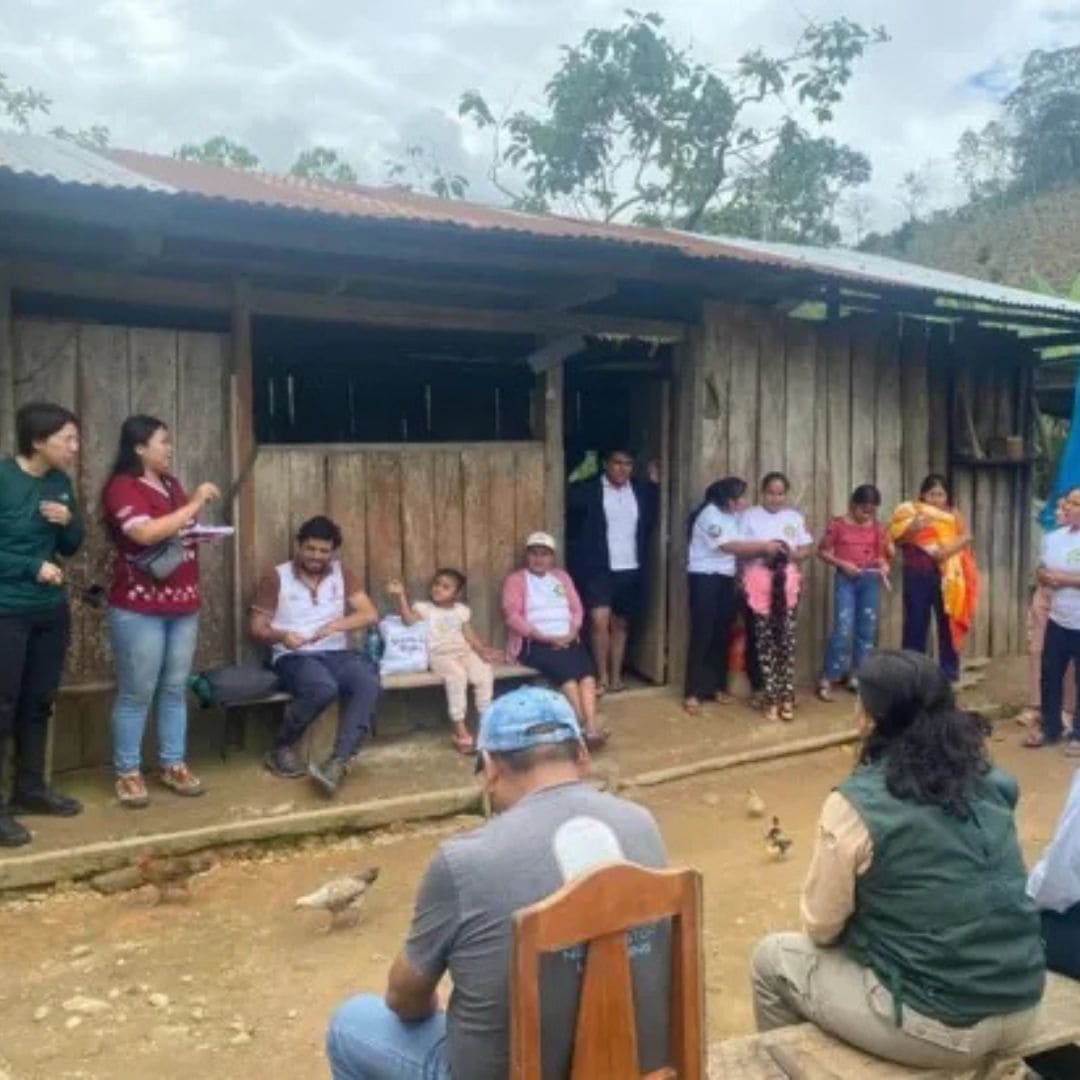 【農薬不使用・無化学肥料】100g ペルー アルトマヨの森 フェアトレード 中深煎り