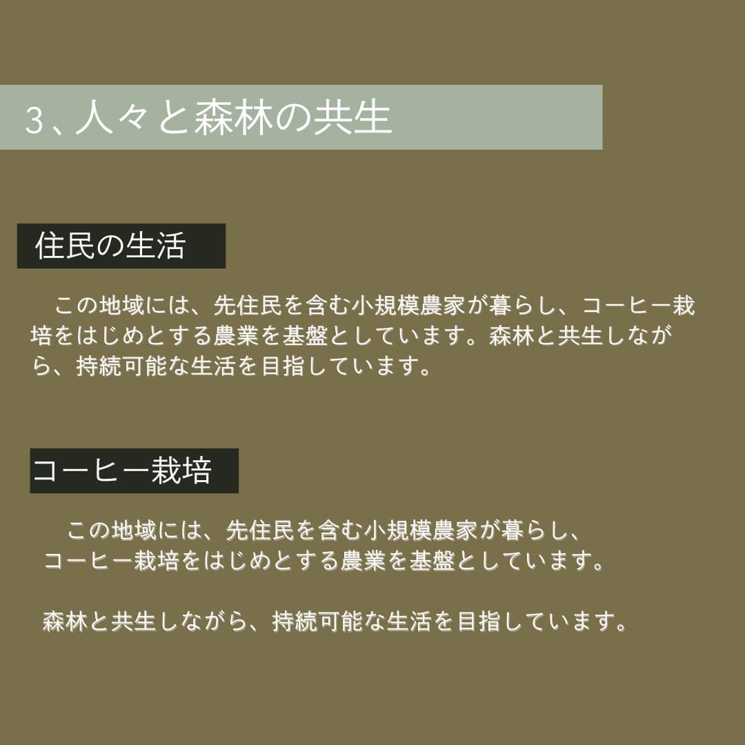 【農薬不使用・無化学肥料】100g ペルー アルトマヨの森 フェアトレード 中深煎り