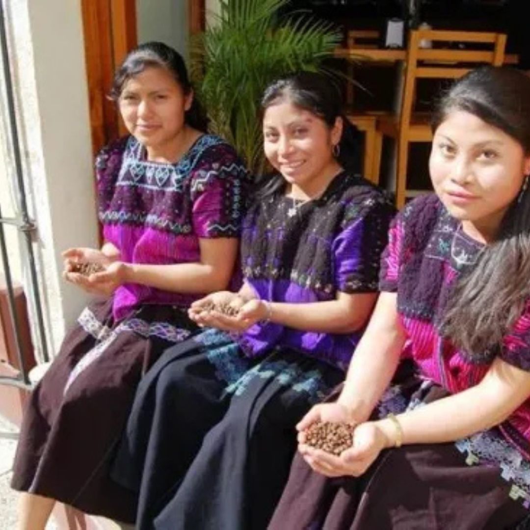 【農薬不使用・無化学肥料】100g メキシコ マヤビニック 中深煎り