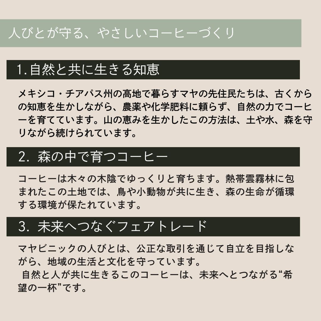 【農薬不使用・無化学肥料】100g メキシコ マヤビニック 中深煎り