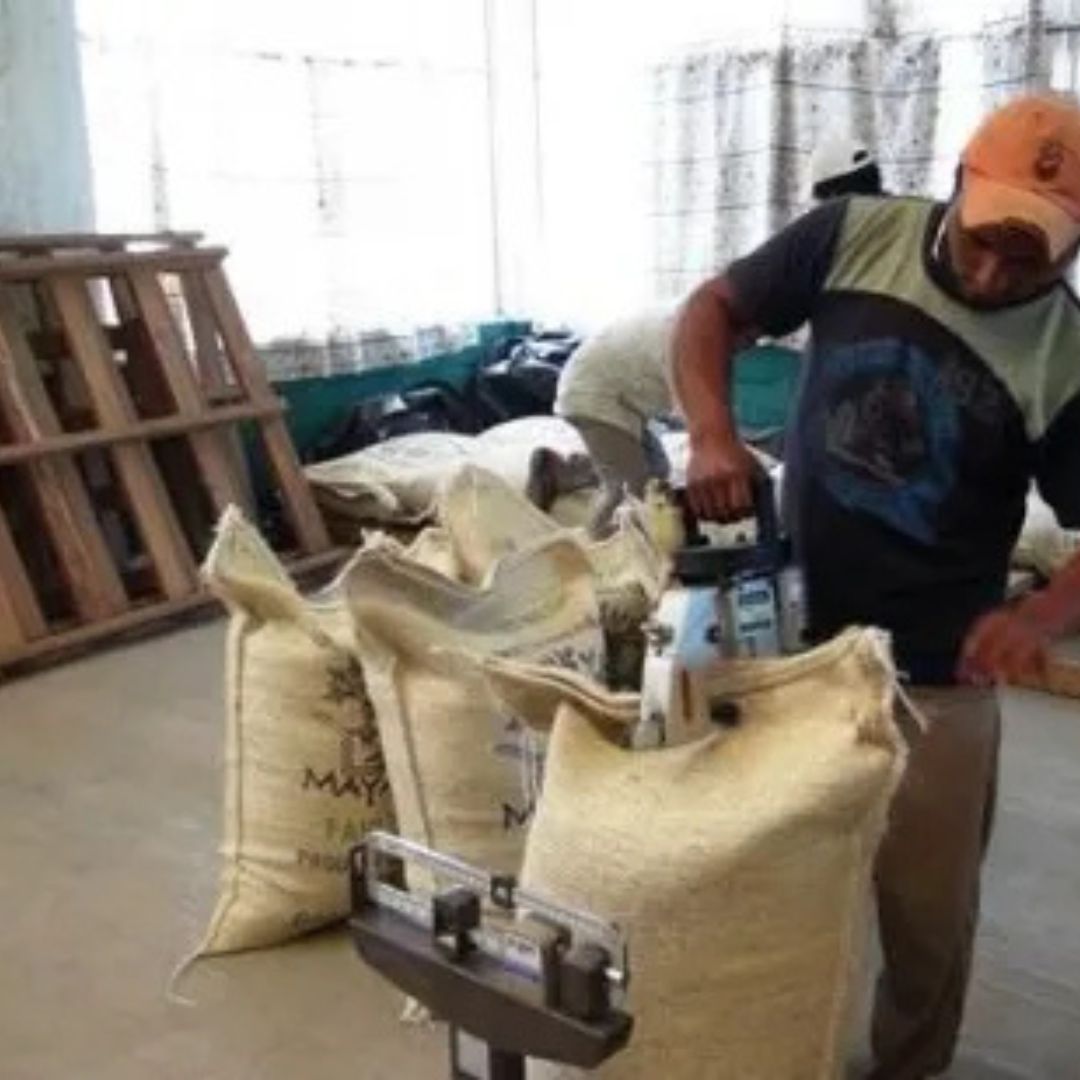 【農薬不使用・無化学肥料】100g メキシコ マヤビニック 中深煎り