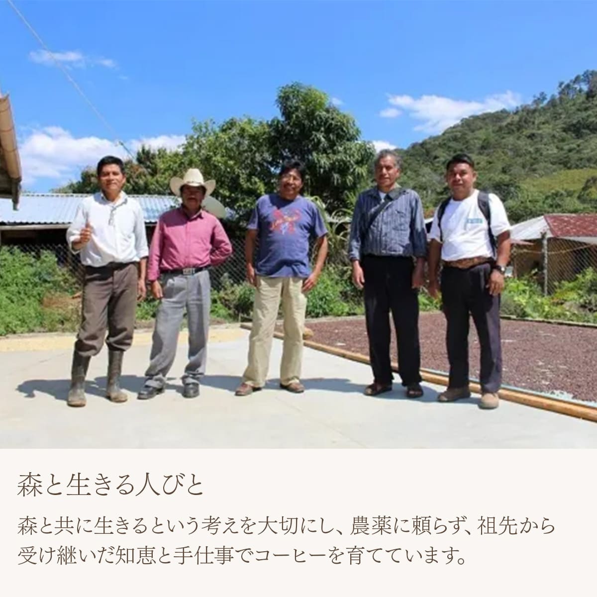 【農薬不使用・無化学肥料】メキシコ マヤビニック 中深煎り