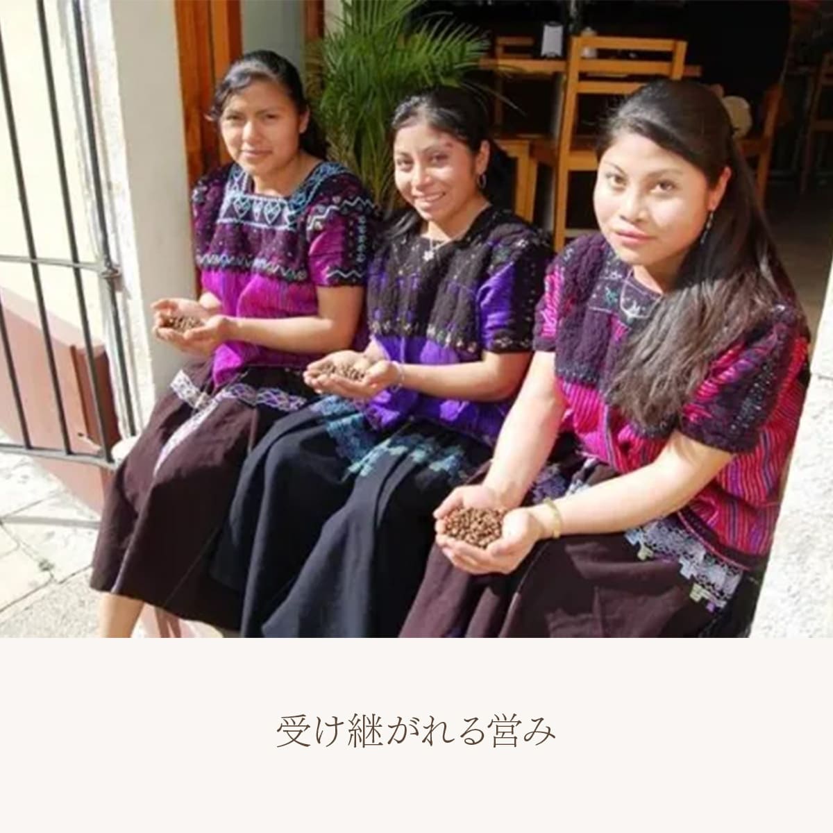 【農薬不使用・無化学肥料】メキシコ マヤビニック 中深煎り