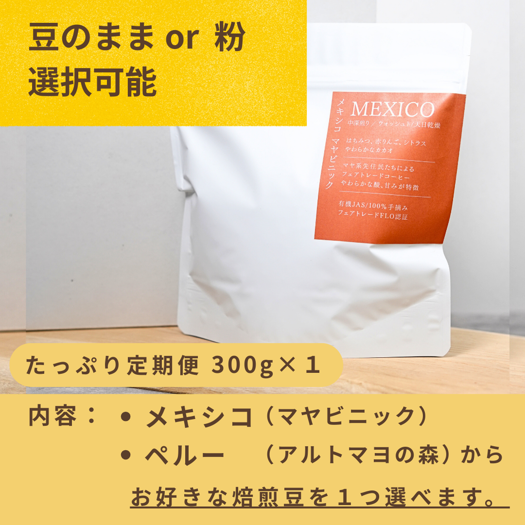 【定期便】たっぷり定期便 300g×1