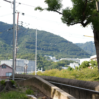 【スペシャリティーコーヒー】100g グアテマラ フロレンシアブルボン 中深煎り