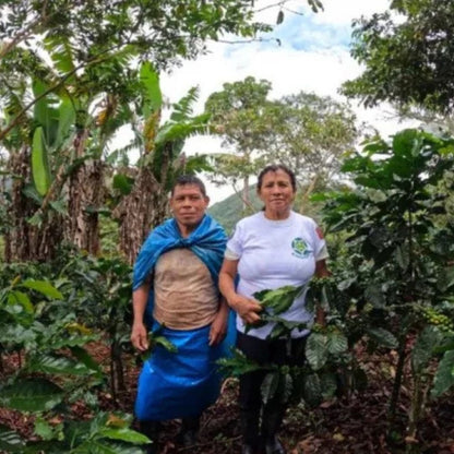 【農薬不使用・無化学肥料】100g ペルー アルトマヨの森 フェアトレード 中深煎り