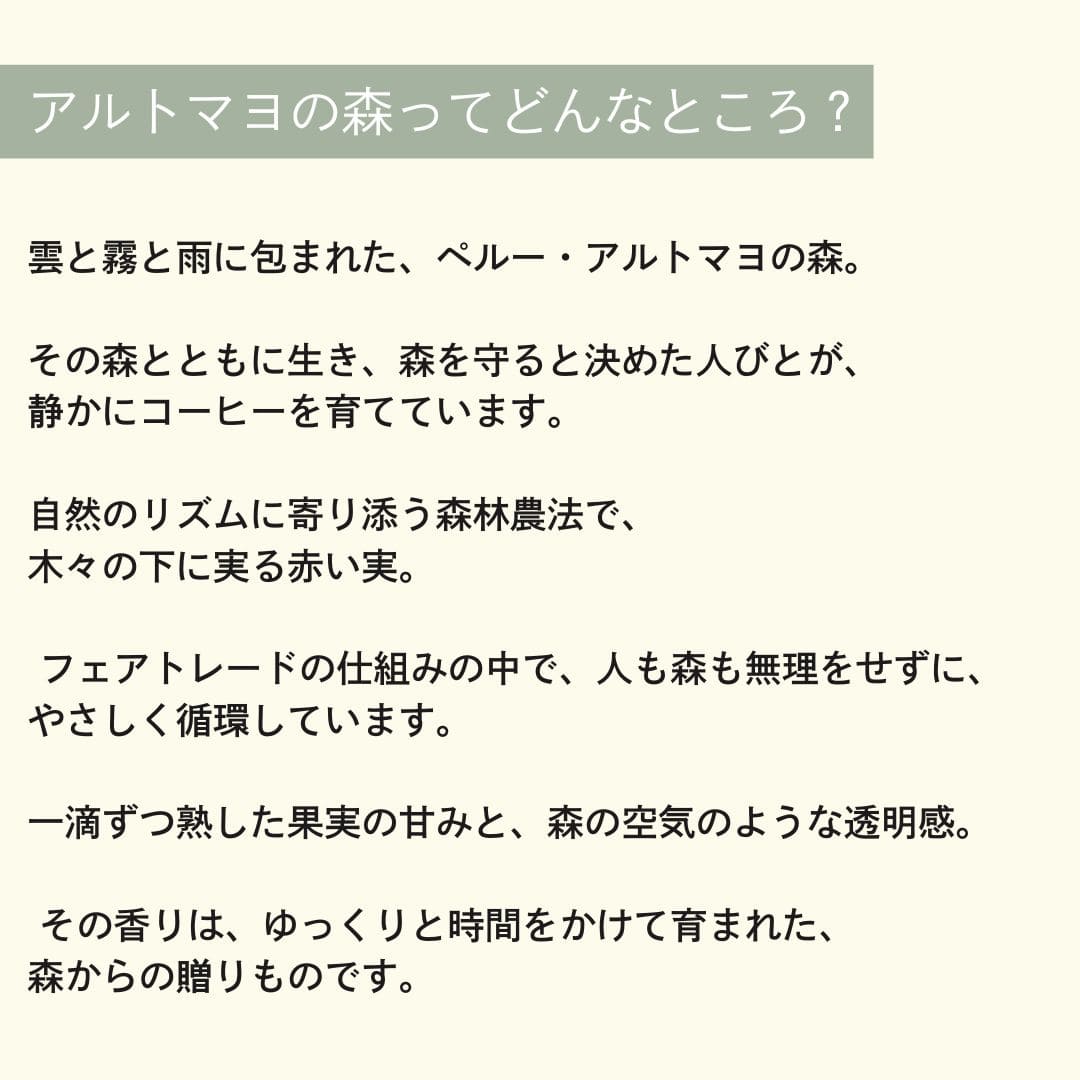 【農薬不使用・無化学肥料】100g ペルー アルトマヨの森 フェアトレード 中深煎り