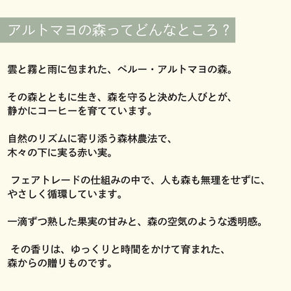 【農薬不使用・無化学肥料】100g ペルー アルトマヨの森 フェアトレード 中深煎り