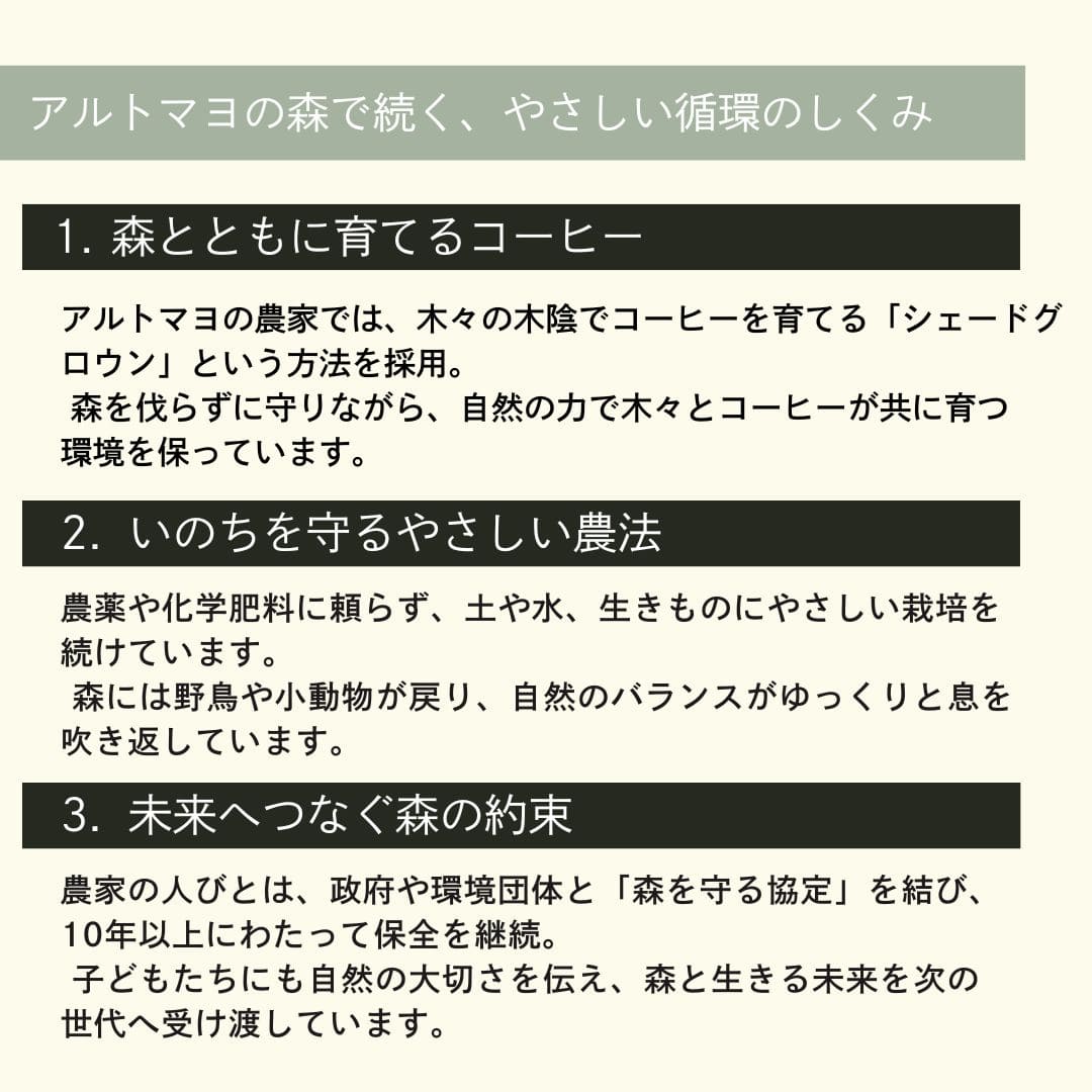 【農薬不使用・無化学肥料】100g ペルー アルトマヨの森 フェアトレード 中深煎り