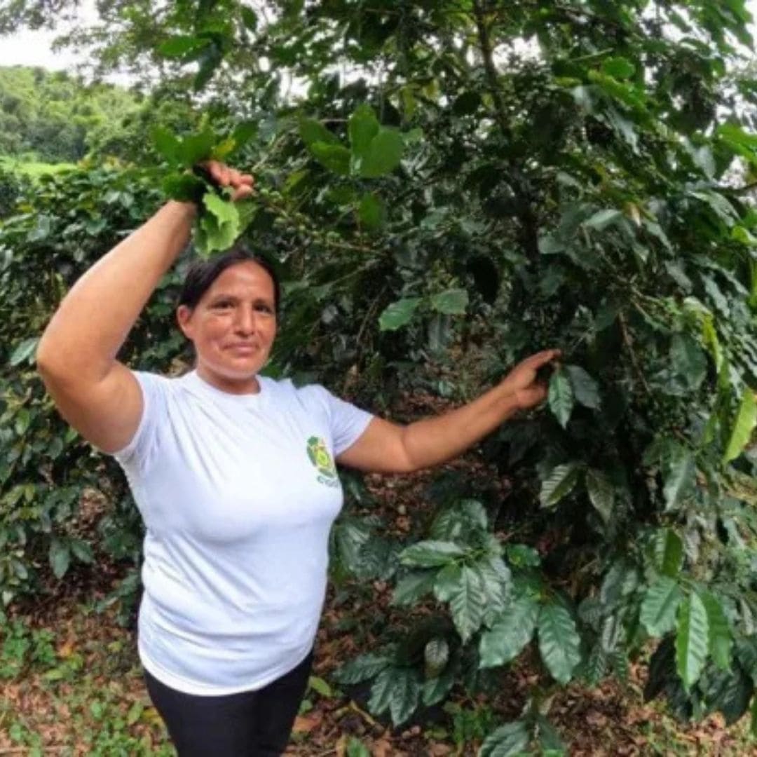 【農薬不使用・無化学肥料】100g ペルー アルトマヨの森 フェアトレード 中深煎り