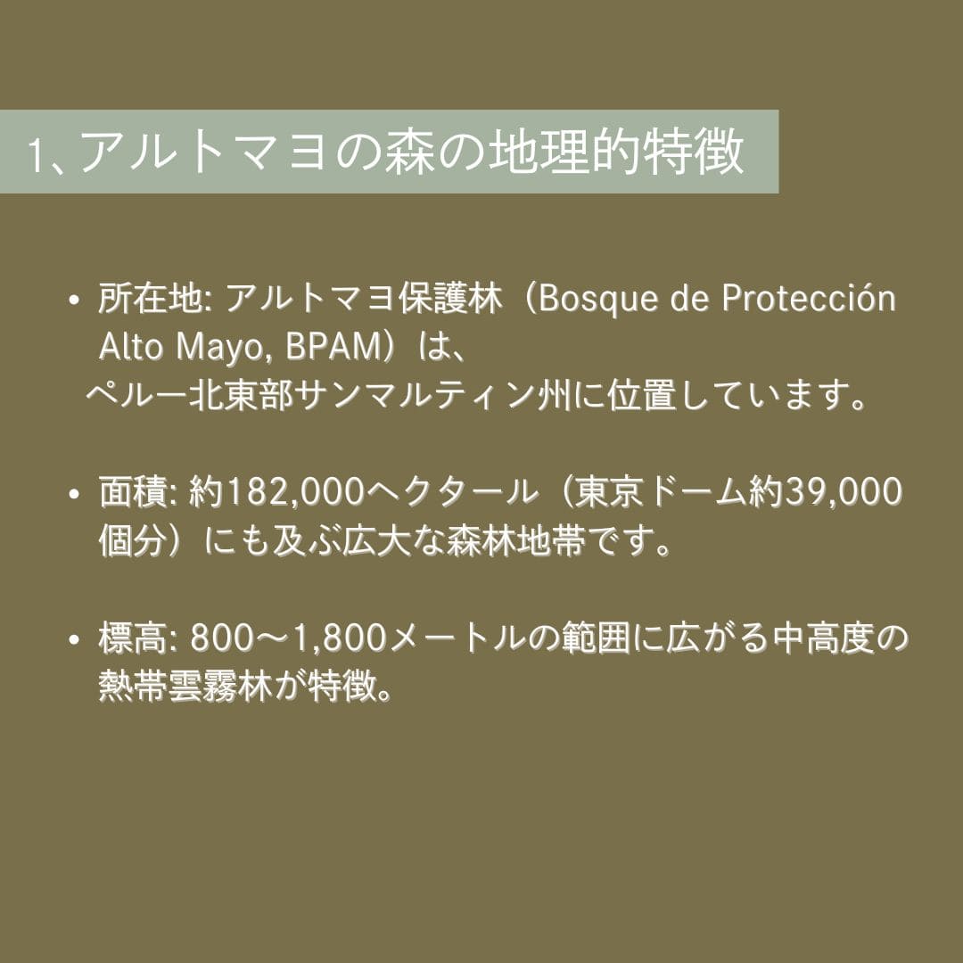 【農薬不使用・無化学肥料】100g ペルー アルトマヨの森 フェアトレード 中深煎り