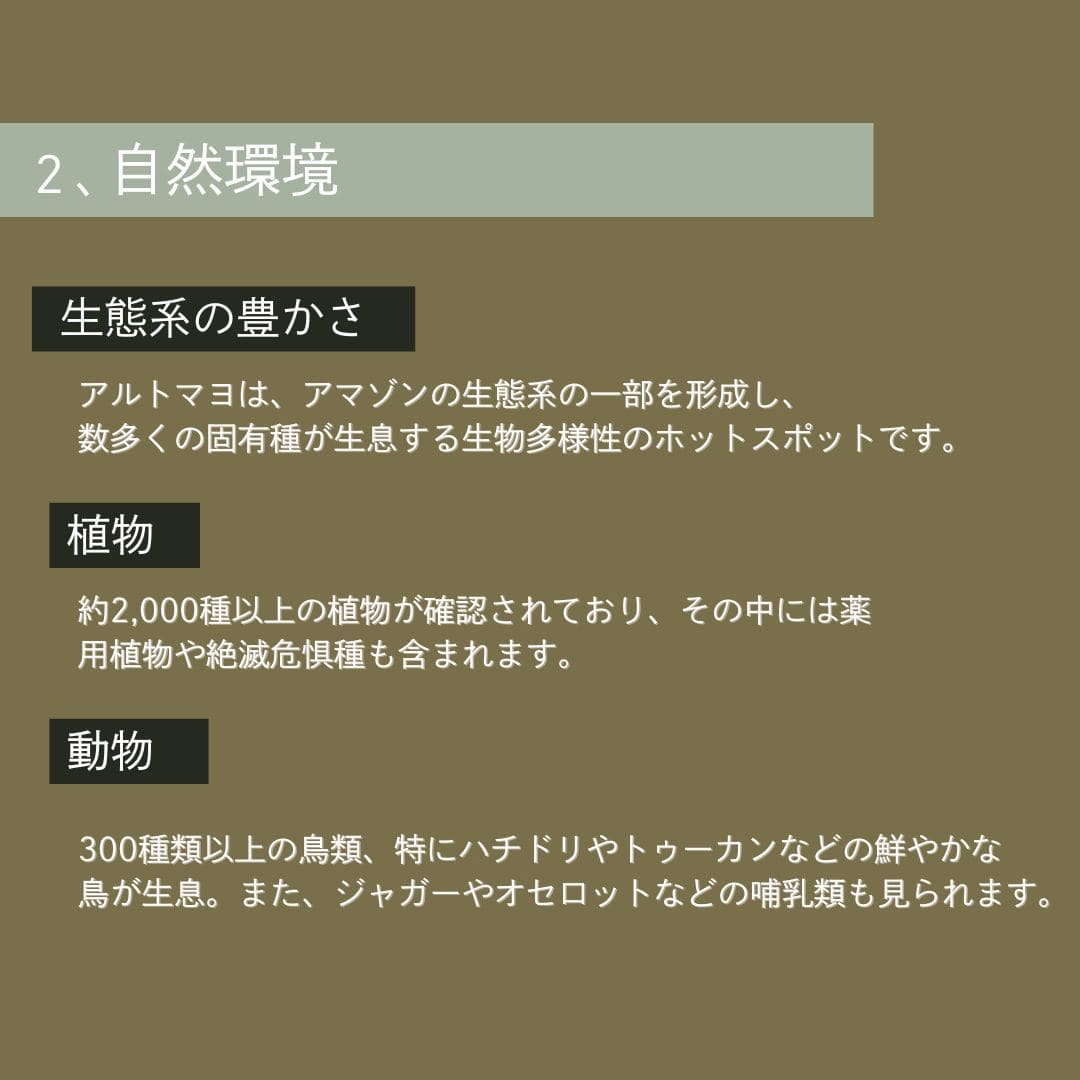 【農薬不使用・無化学肥料】100g ペルー アルトマヨの森 フェアトレード 中深煎り