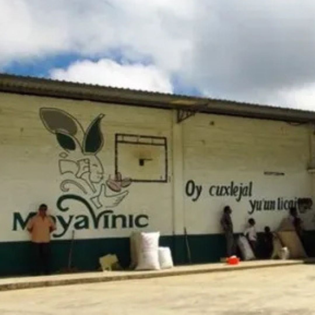 【農薬不使用・無化学肥料】100g メキシコ マヤビニック 中深煎り