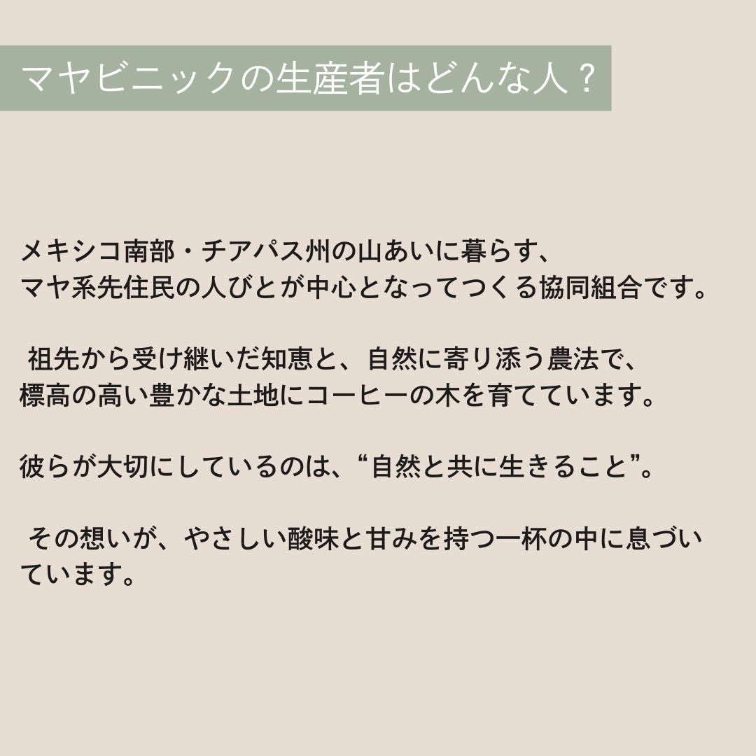 【農薬不使用・無化学肥料】100g メキシコ マヤビニック 中深煎り