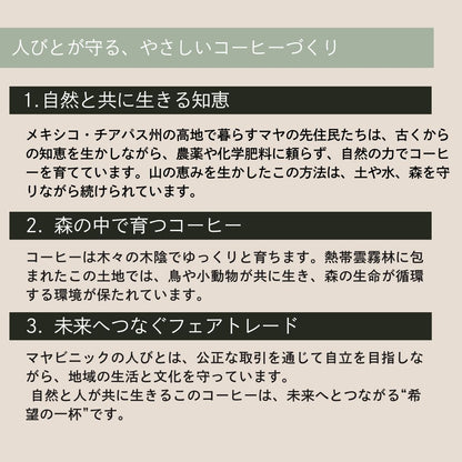【農薬不使用・無化学肥料】100g メキシコ マヤビニック 中深煎り