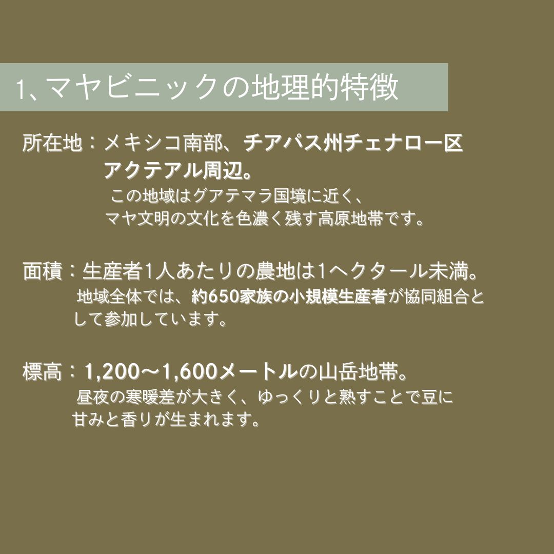 【農薬不使用・無化学肥料】100g メキシコ マヤビニック 中深煎り