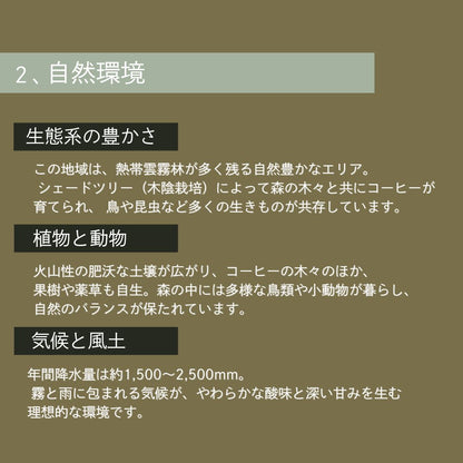 【農薬不使用・無化学肥料】100g メキシコ マヤビニック 中深煎り