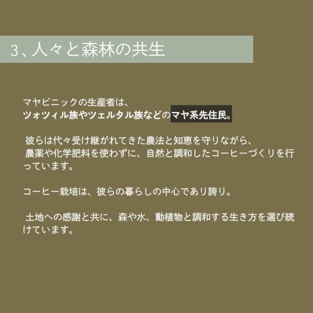 【農薬不使用・無化学肥料】100g メキシコ マヤビニック 中深煎り