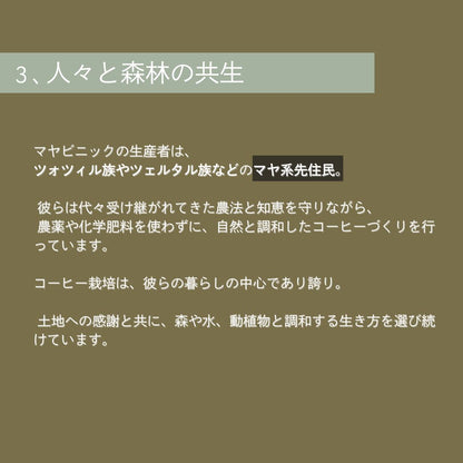 【農薬不使用・無化学肥料】100g メキシコ マヤビニック 中深煎り