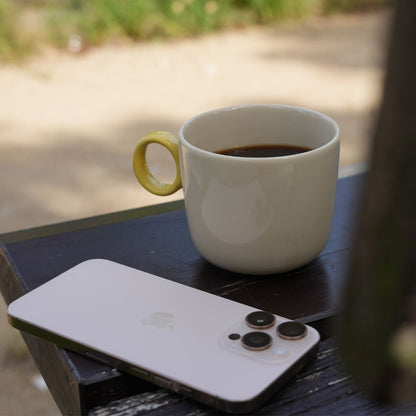 【農薬不使用・無化学肥料】100g メキシコ マヤビニック 中深煎り